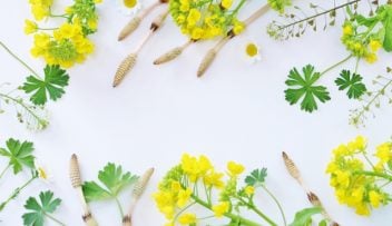 春の陽気と心トラブル養生法の画像