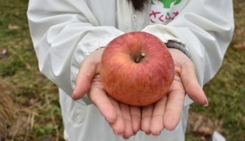 有機りんご畑スタッフレポート＠長野アドバンスさんの写真