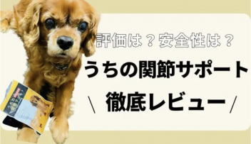 犬の情報メディア「INUNAVI（いぬなび）」にて弊社のサプリメントが紹介されました。の写真