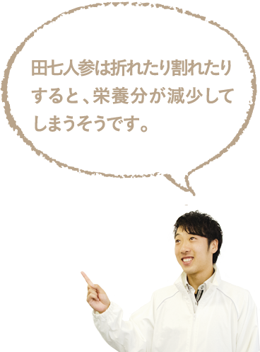 田七人参は折れたり割れたりすると、栄養分が減少してしまうそうです。