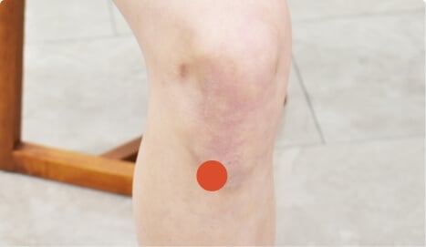 セルフケアのツボ 無農薬 有機栽培の田七人参サプリメント 和漢の森 セルフケアのツボ 無農薬 有機栽培の田七人参サプリメント 和漢の森