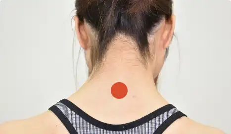 セルフケアのツボ 無農薬 有機栽培の田七人参サプリメント 和漢の森