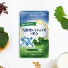 乳酸菌&イチョウ葉の恵み