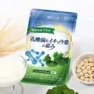 乳酸菌&イチョウ葉の恵み