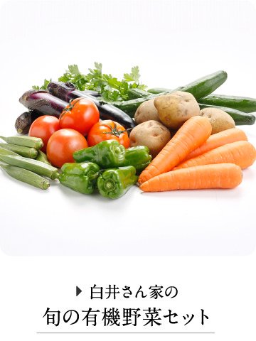白井さん家の旬の有機野菜セット