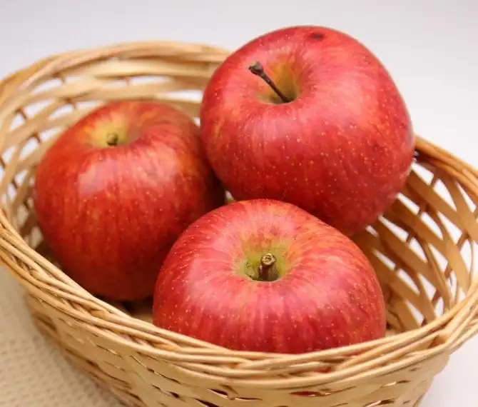 りんご甕酢の商品ページ 和漢の森