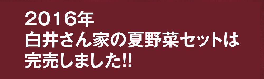 2016年白井さん家の夏野菜セットは完売しました!!