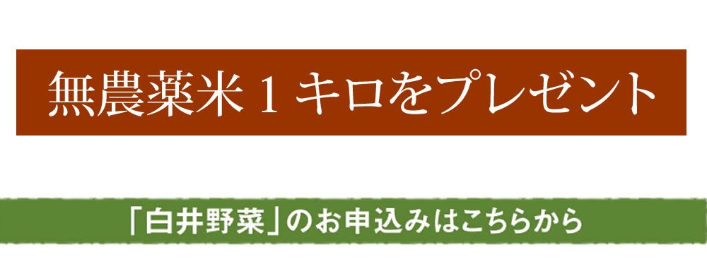 無農薬米1キロをプレゼント