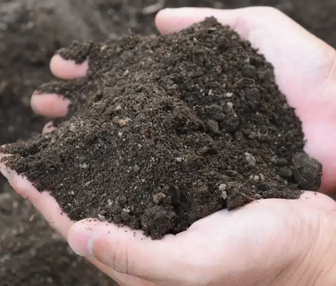 白井さん家の旬の有機野菜セットの商品ページ│和漢の森