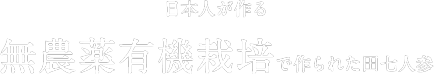 日本人が作る 無農薬有機栽培で作られた田七人参