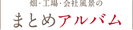 畑・工場・会社風景のまとめアルバム