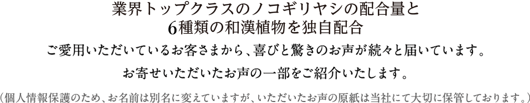 贅沢ノコギリヤシ420説明文