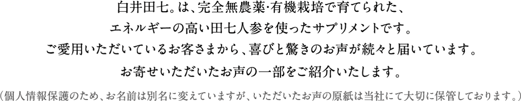 白井田七の説明文