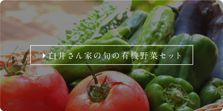 白井さん家の旬の有機野菜セット