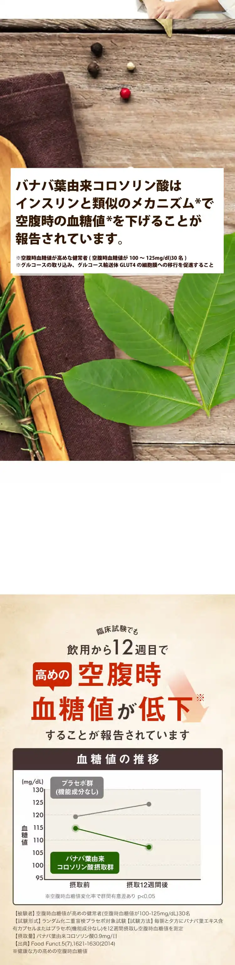 臨床試験でも飲用から12週目で高めの空腹時血糖値が低下