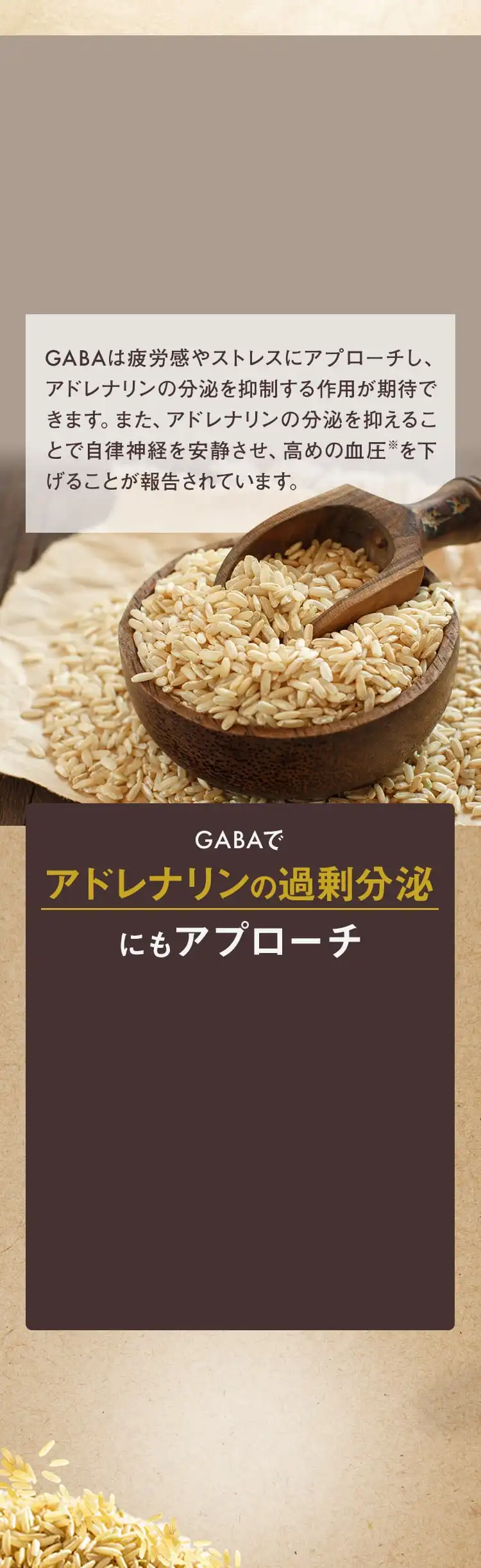 GABAでアドレナリンの過剰分泌にもアプローチ