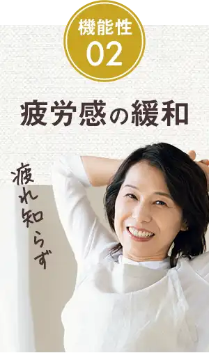 機能性02 疲労感の緩和