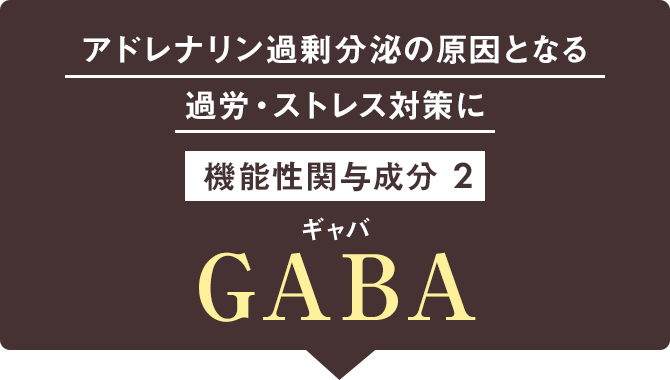 アドレナリンの過剰分泌の原因となる疲労・ストレス対策に 機能性関与成分2 GABA