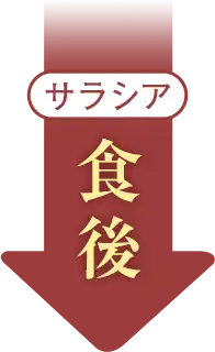 サラシア 食後