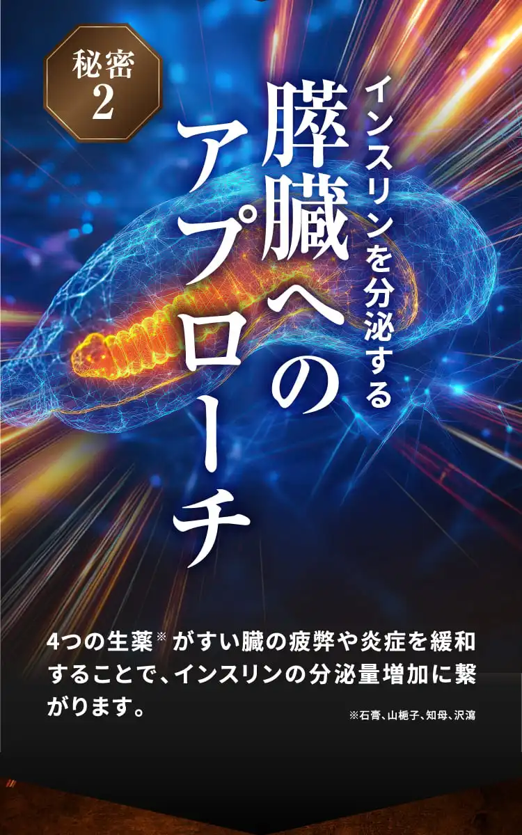 2、インスリンを分泌するすい臓へのアプローチ