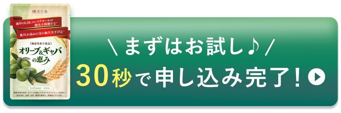 まずはお試し♪ 30秒で申し込み完了！