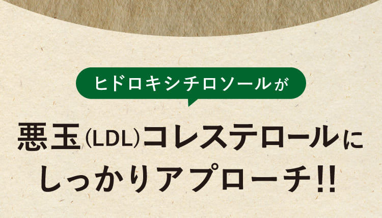 ヒドロキシチロソールが悪玉コレステロールにしっかりアプローチ！！