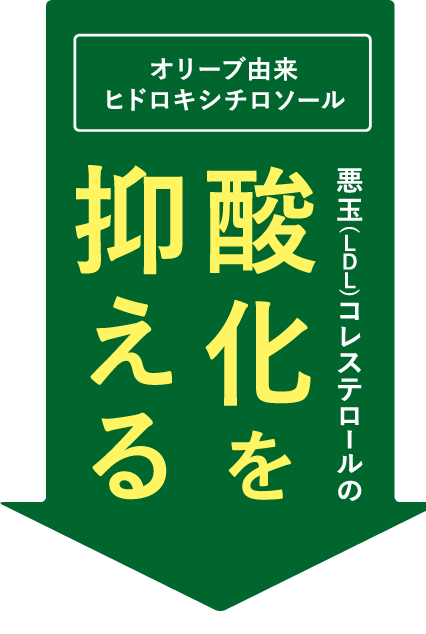 オリーブ由来ヒドロキシチロソール 悪玉(LDL)コレステロールの 酸化を抑える