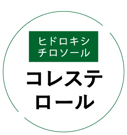 ヒドロキシチロソール コレステロール