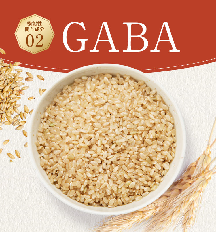 機能性関与成分02 GABA