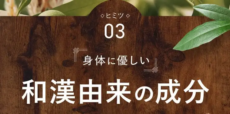 ヒミツ03 身体に優しい和漢由来の成分