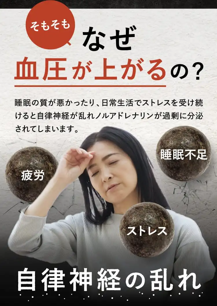 そもそもなぜ血圧が上がるの？