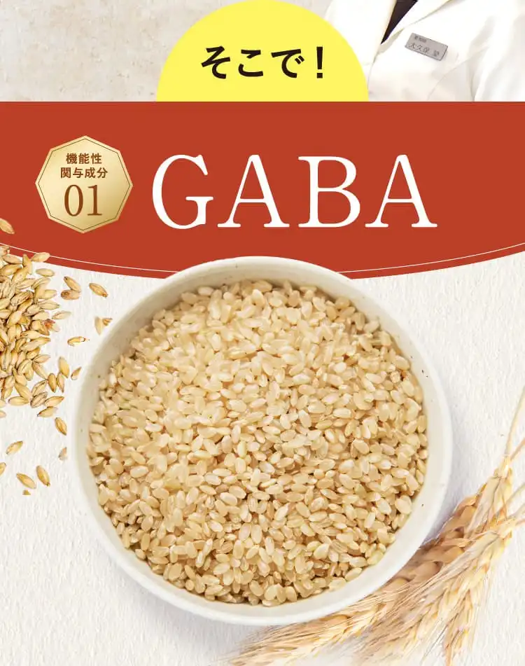 そこで！ 機能性関与成分01 GABA