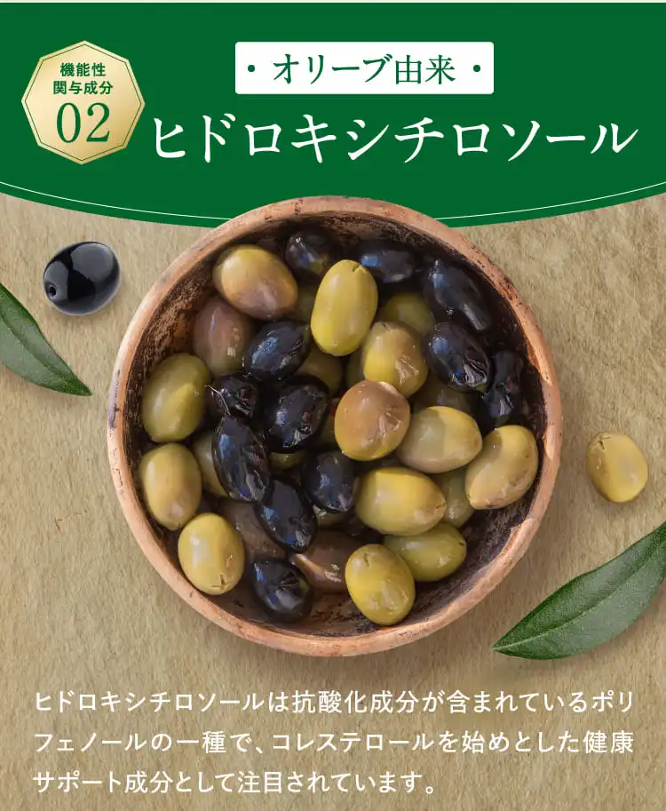 機能性関与成分02 オリーブ由来 ヒドロキシチロソール