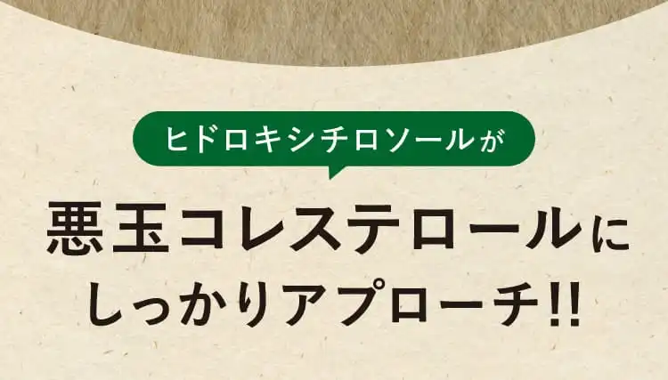 ヒドロキシチロソールが悪玉コレステロールにしっかりアプローチ！！