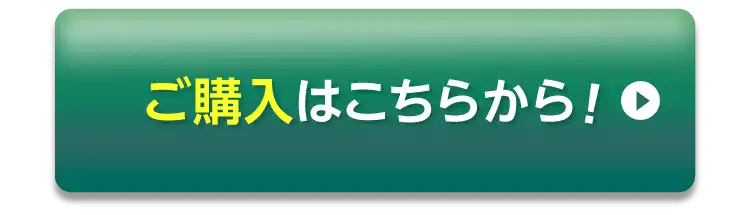 まずはお試し♪ 30秒で申し込み完了！