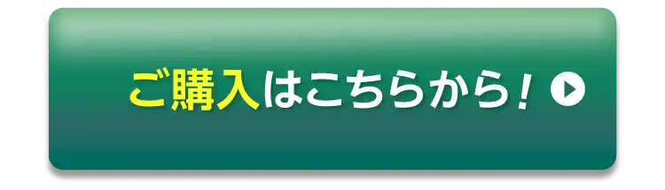 まずはお試し♪ 30秒で申し込み完了！