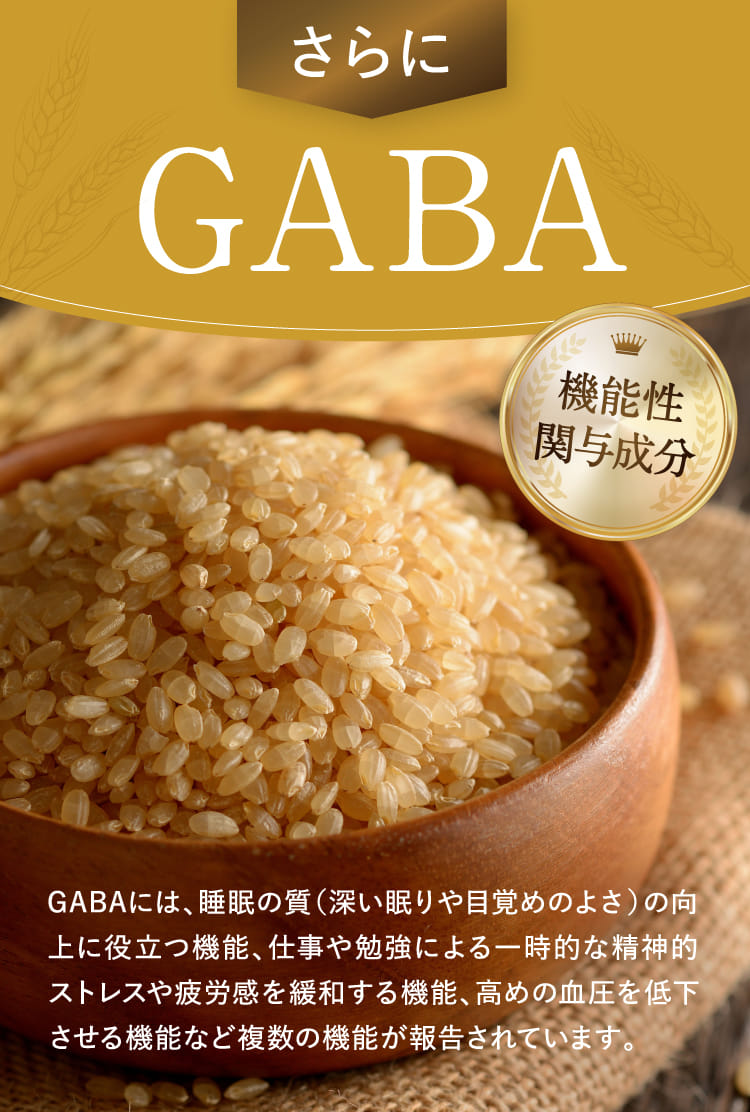 さらにGABA