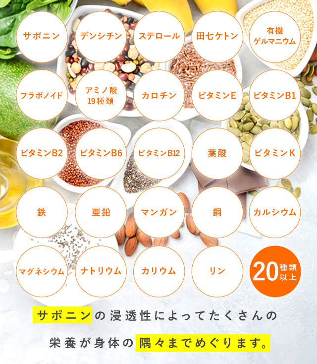 白井田七