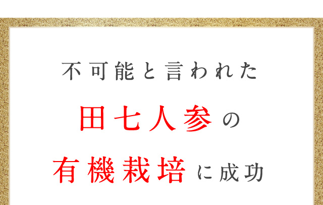 白井田七