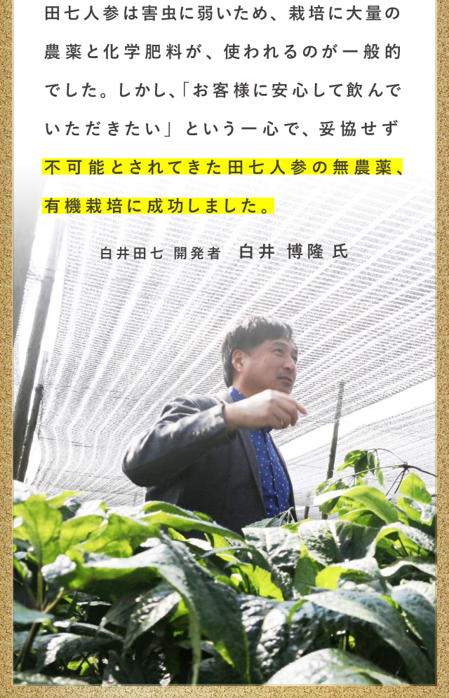 白井田七