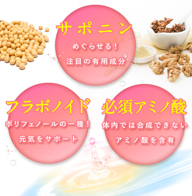 白井田七