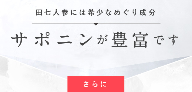 白井田七