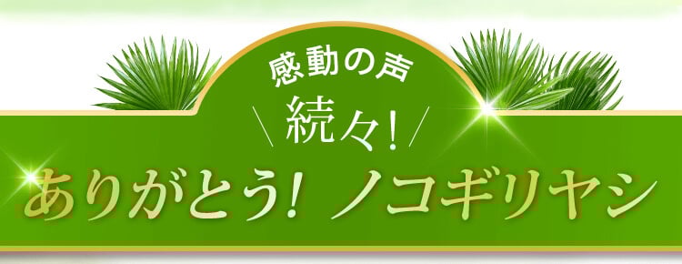 感動の声続々！ありがとう！ノコギリヤシ