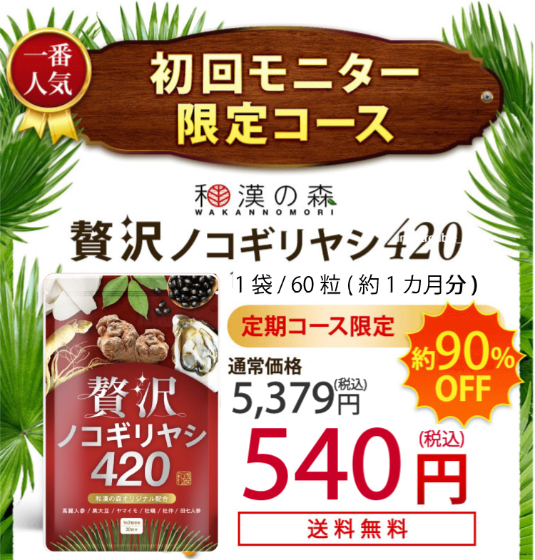 初回モニター限定コース 贅沢ノコギリヤシ420