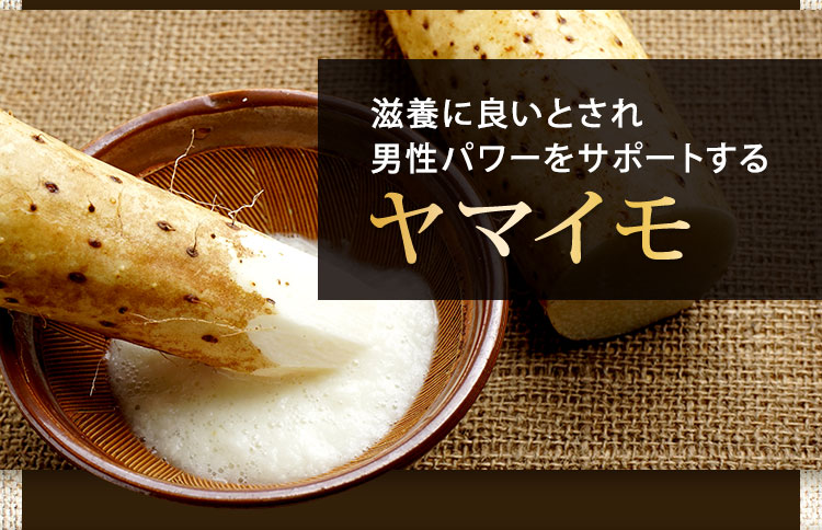 ヤマイモ