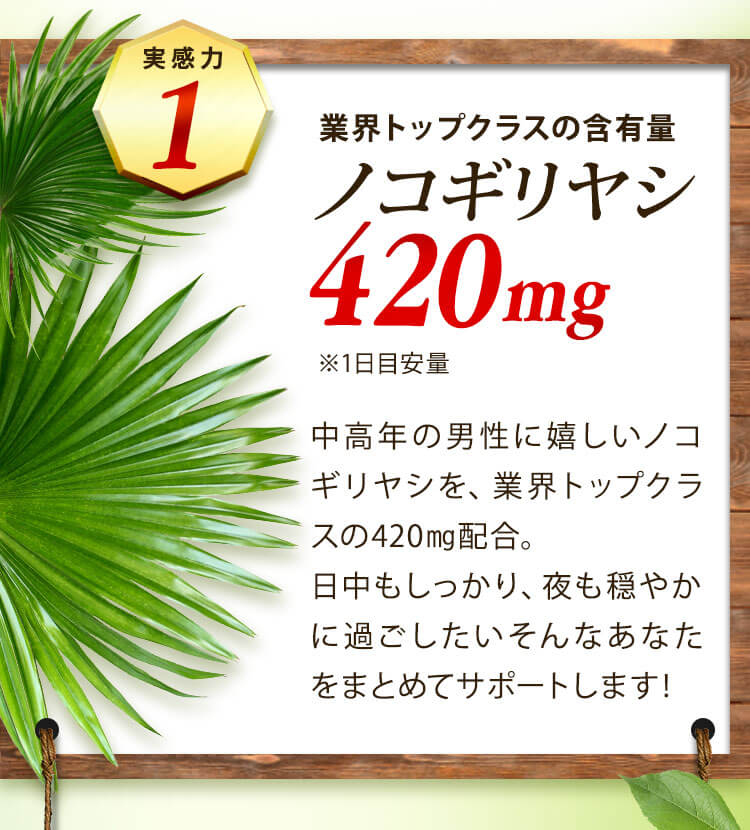 業界トップクラスの含有量 ノコギリヤシ420mg