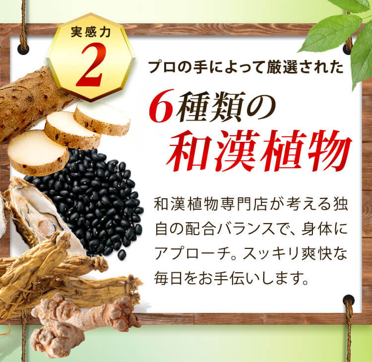 5種類の和漢植物