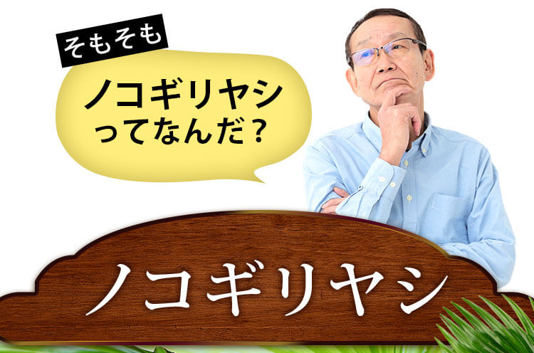 そもそもノコギリヤシってなんだ？