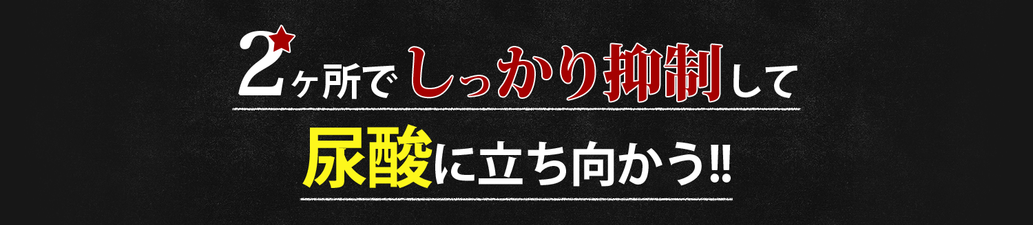 パワーを検証！ルテオリンを4週間継続接種！臨床試験の結果…