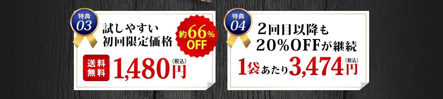 試しやすい初回限定価格